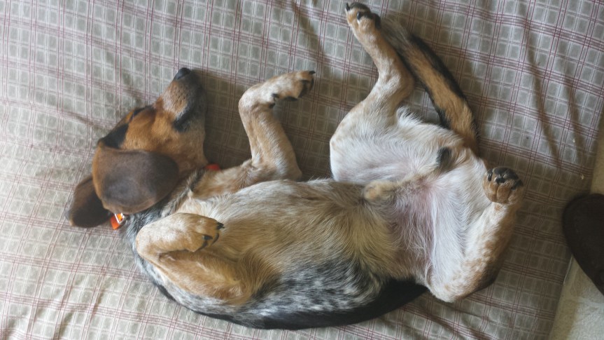 Joy and the&nbsp;Spirit