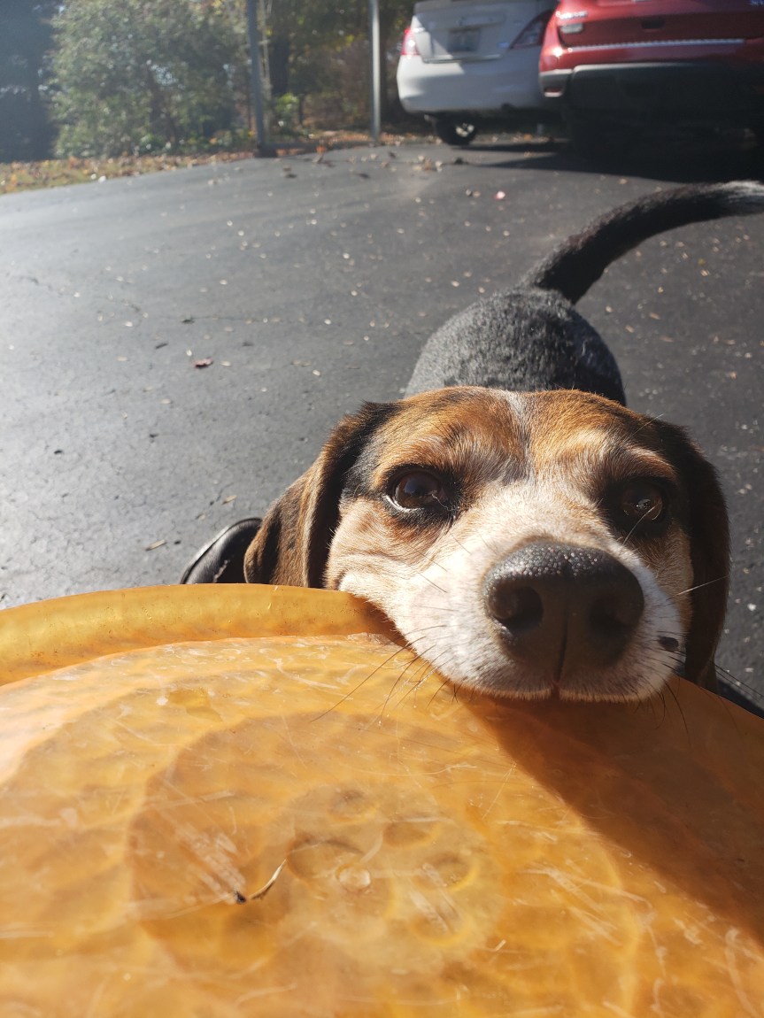 Try a Little&nbsp;Kindness