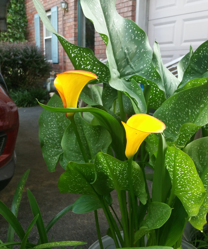 God’s Perfect Justice